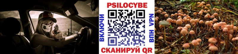 Псилоцибиновые грибы MAGIC MUSHROOMS  Новоржев 